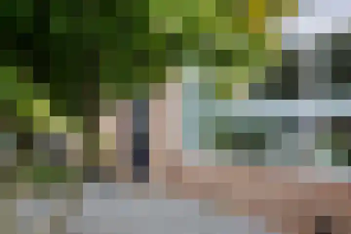 Halmersinge 57 Zuidlaren thumbnail 8