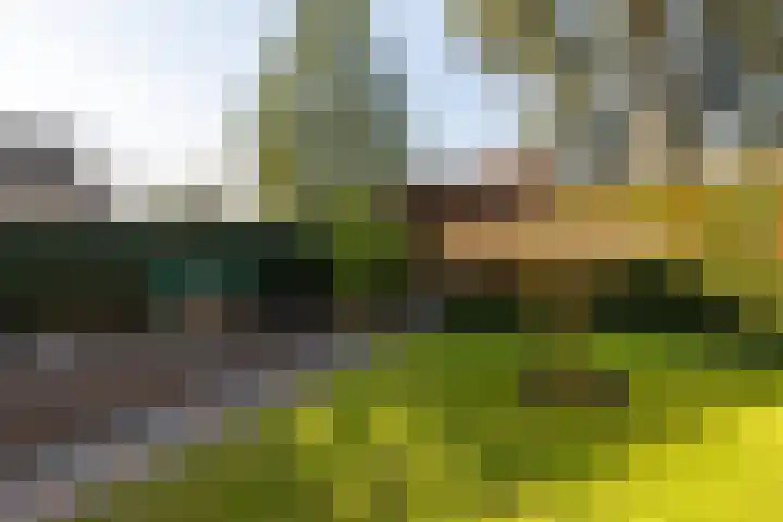 Halmlaan 9 Nunspeet foto 3