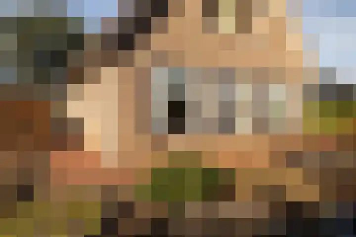 Halmlaan 9 Nunspeet thumbnail 46