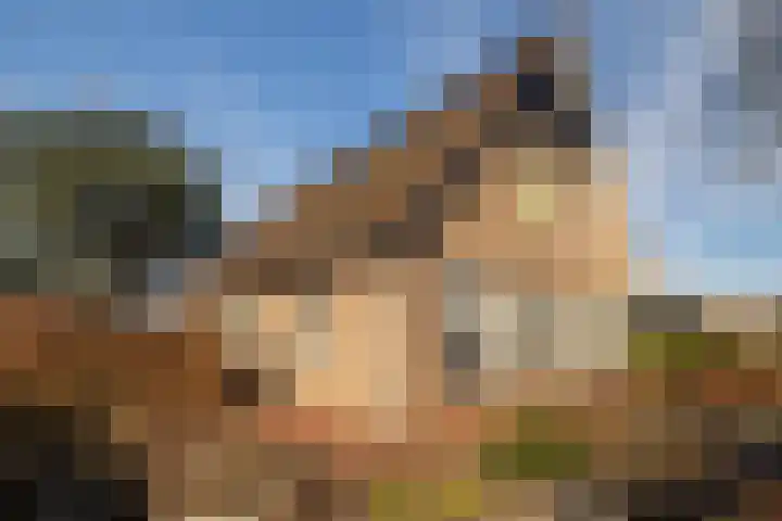 Halmlaan 9 Nunspeet thumbnail 47