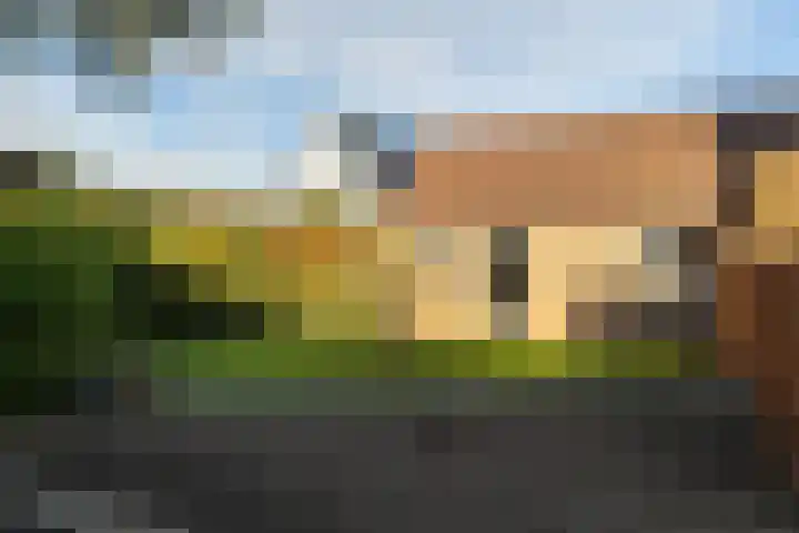 Halmlaan 9 Nunspeet thumbnail 48