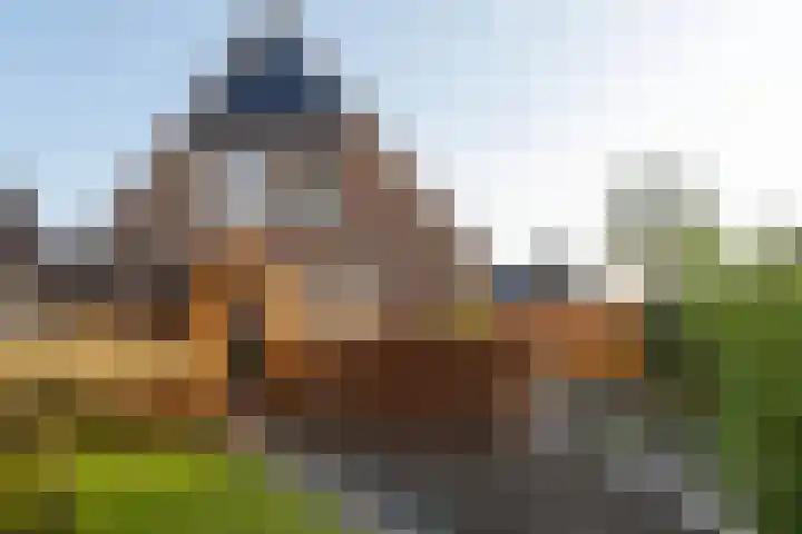 Halmlaan 9 Nunspeet thumbnail 9