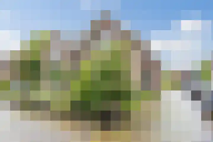 Halmstraat 16 Groningen thumbnail 10
