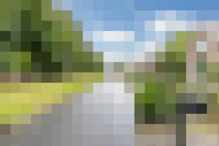 Halmstraat 16 Groningen thumbnail 11