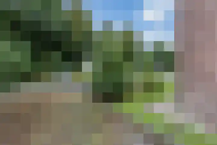 Halmstraat 16 Groningen thumbnail 13