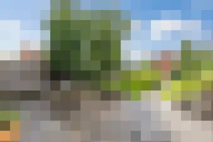 Halmstraat 16 Groningen thumbnail 15