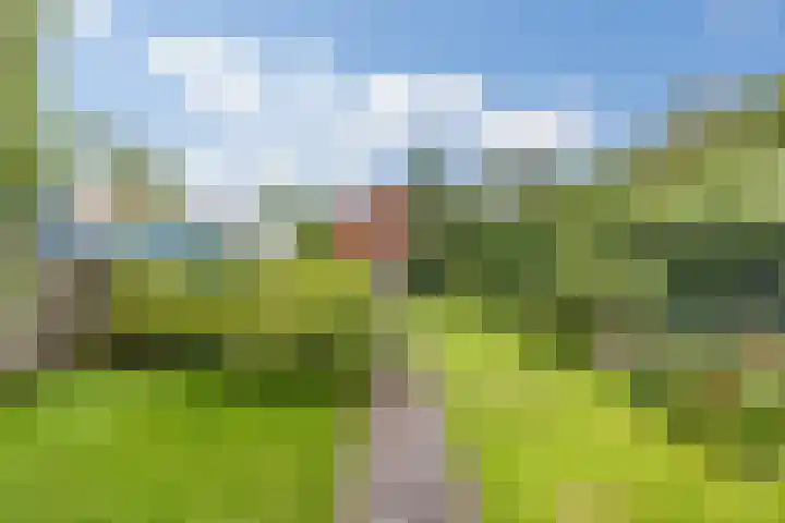 Halmstraat 16 Groningen thumbnail 17