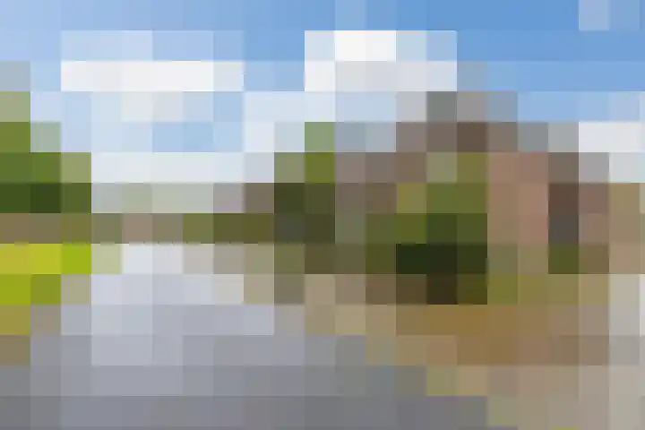 Halmstraat 16 Groningen thumbnail 7