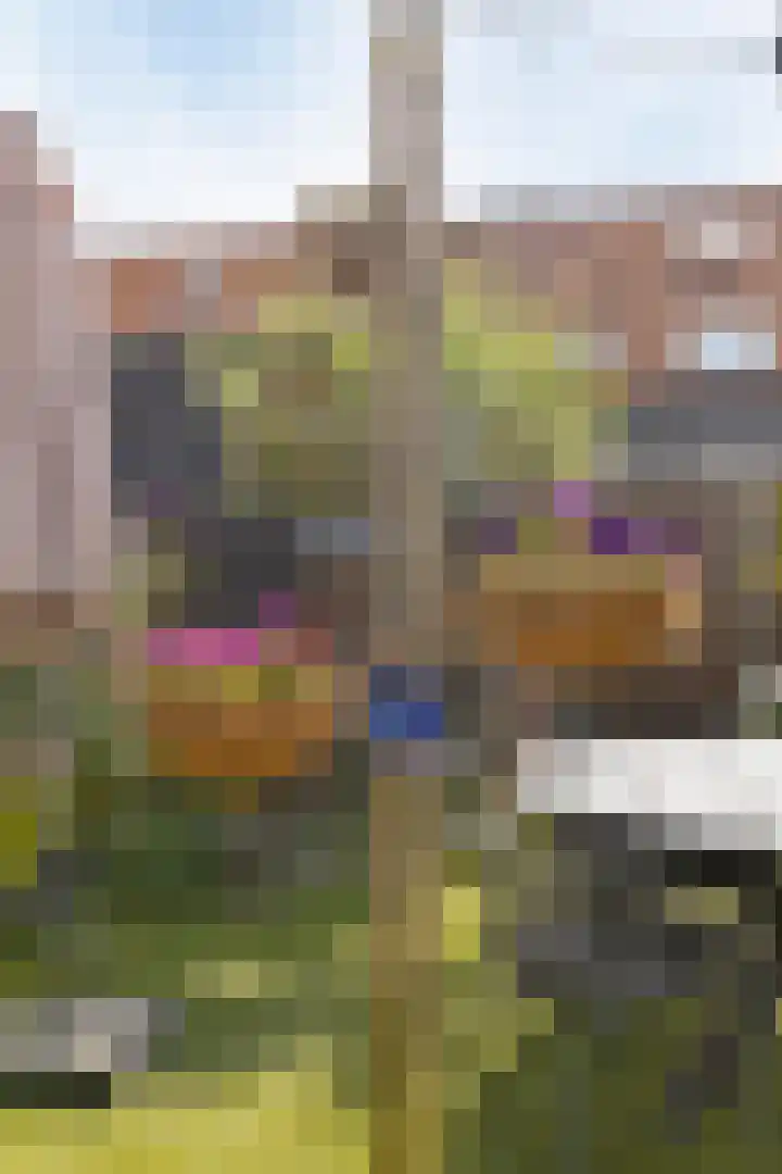 Halmstraat 23 Purmerend thumbnail 30