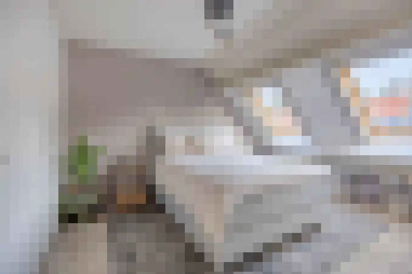 Halmstraat 61 Purmerend thumbnail 20