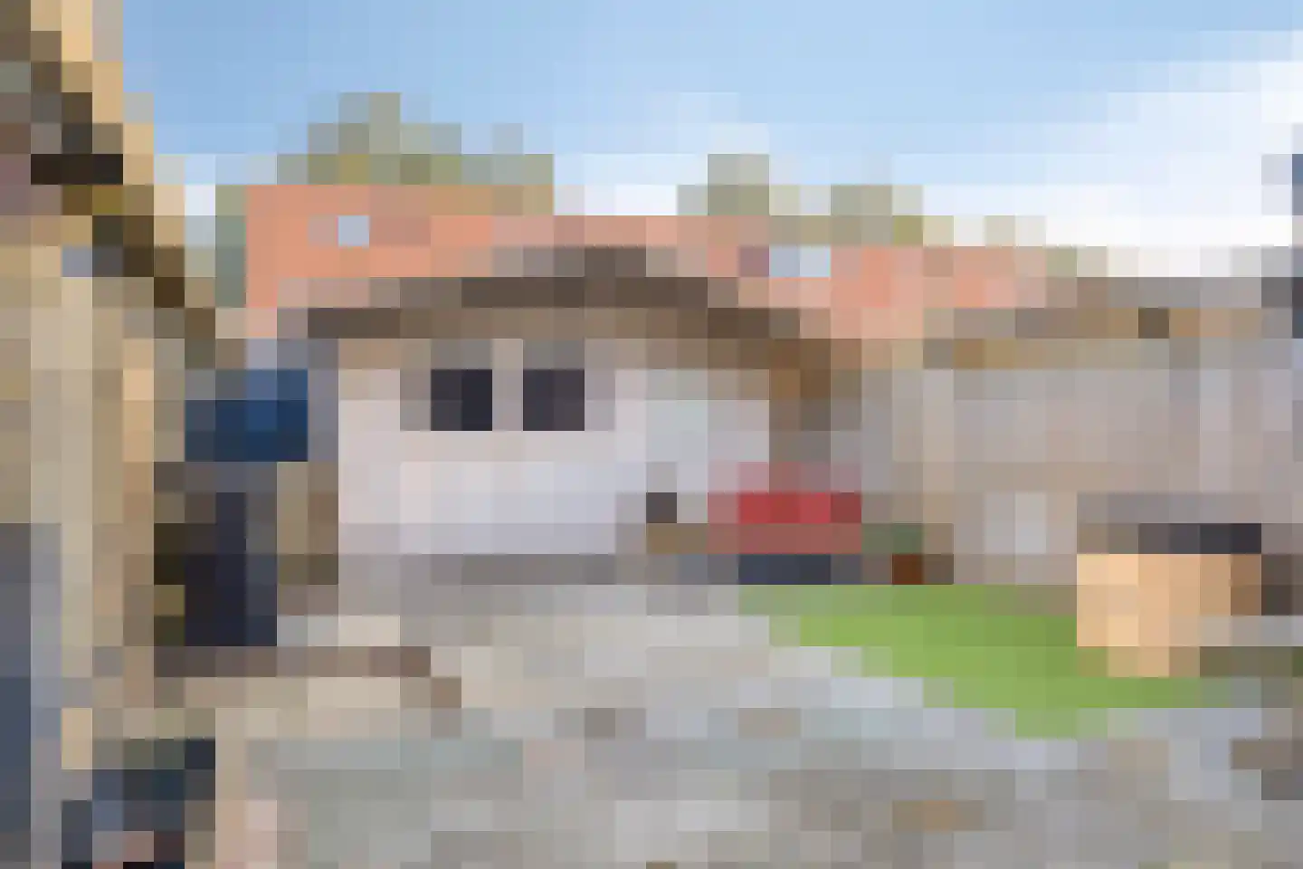 Halmstraat 61 Purmerend thumbnail 28