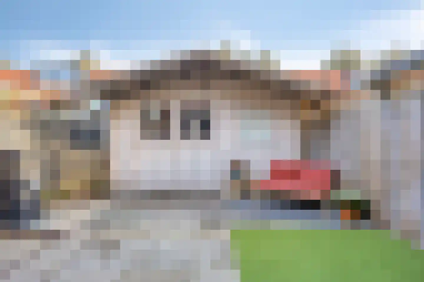 Halmstraat 61 Purmerend thumbnail 29