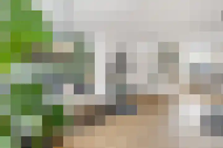 Halmstraat 69 Purmerend thumbnail 5