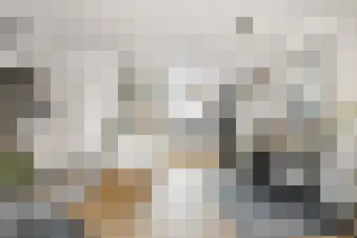 Halmstraat 69 Purmerend thumbnail 7