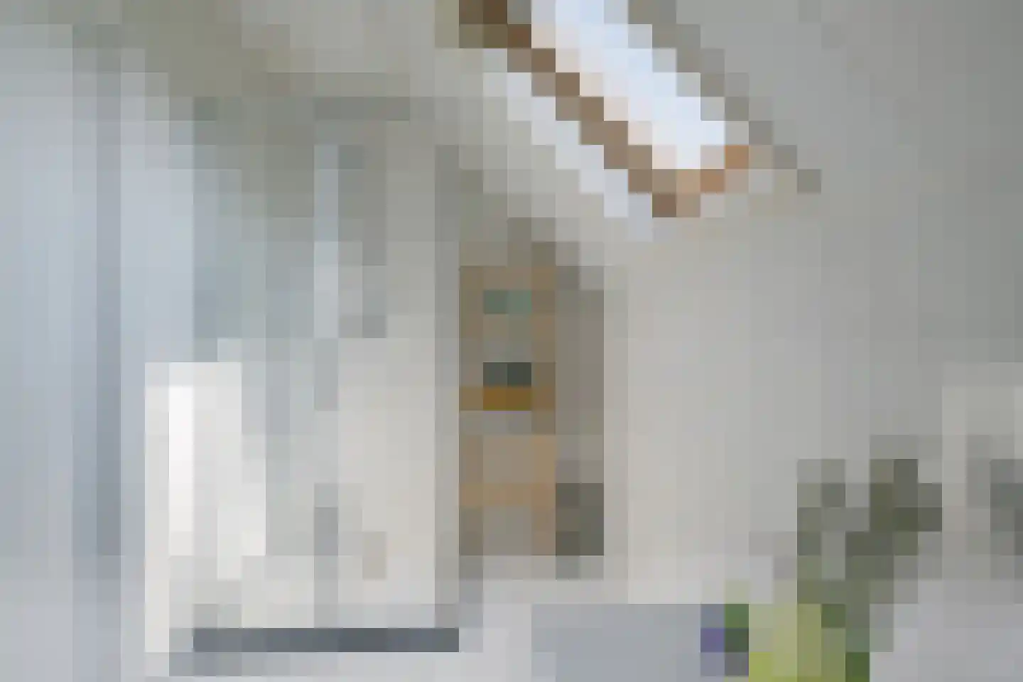 Halseweg 16 Westendorp thumbnail 31