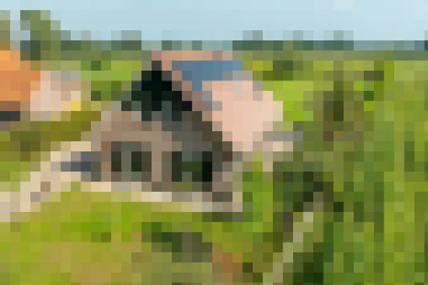 Halseweg 16 Westendorp thumbnail 39