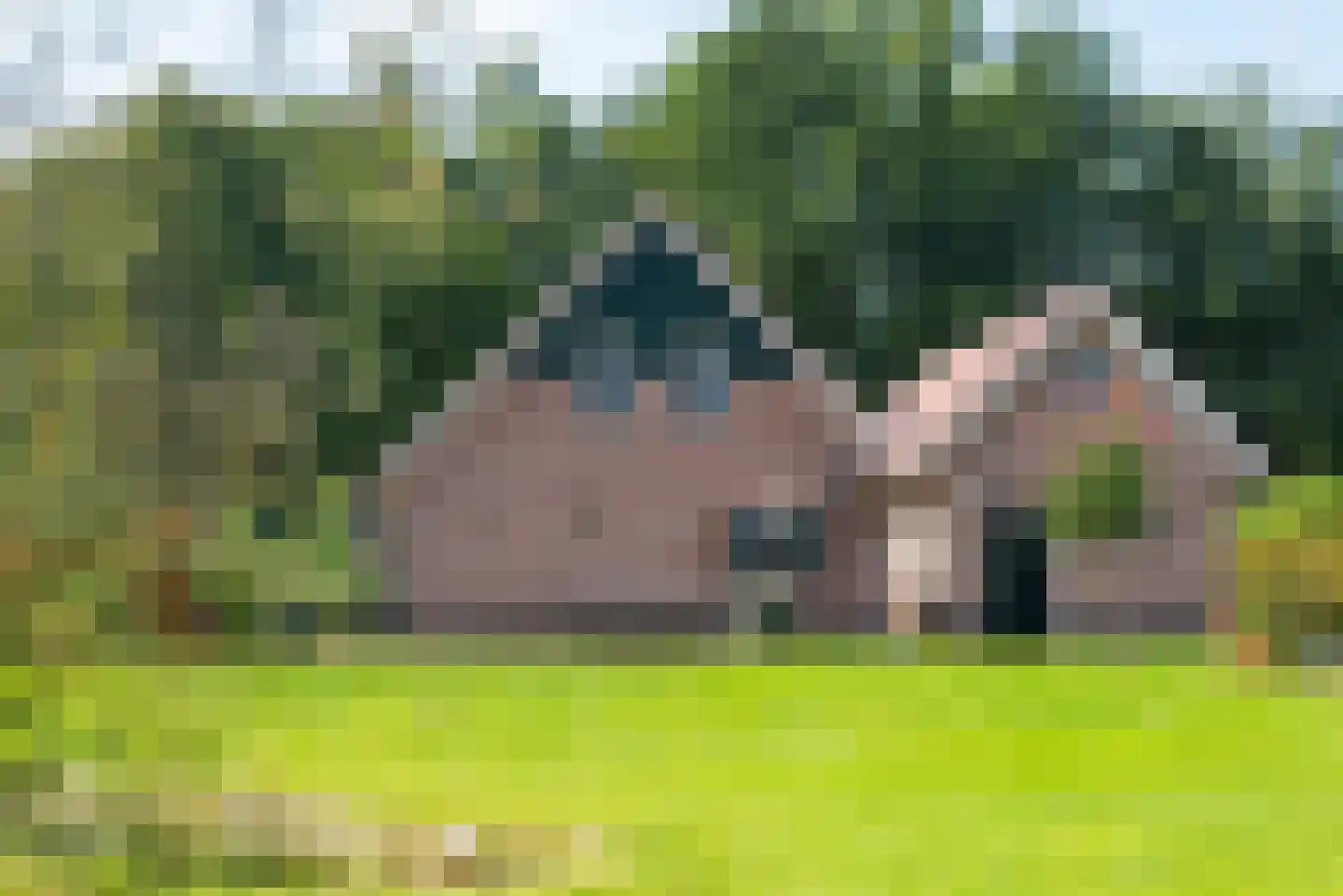 Halseweg 16 Westendorp thumbnail 45