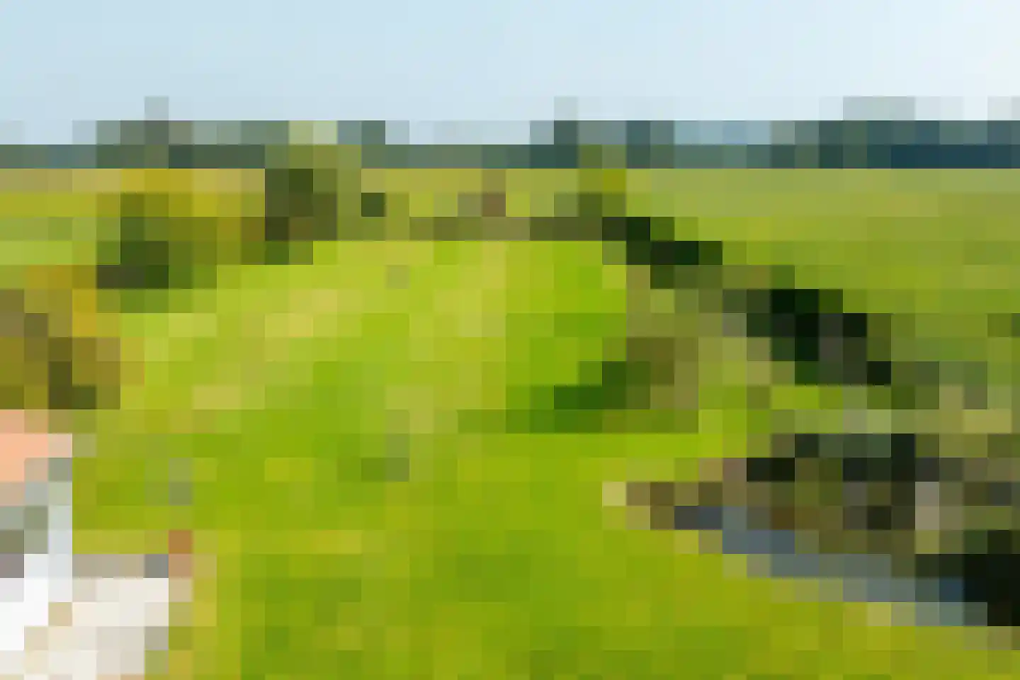 Halseweg 16 Westendorp thumbnail 47
