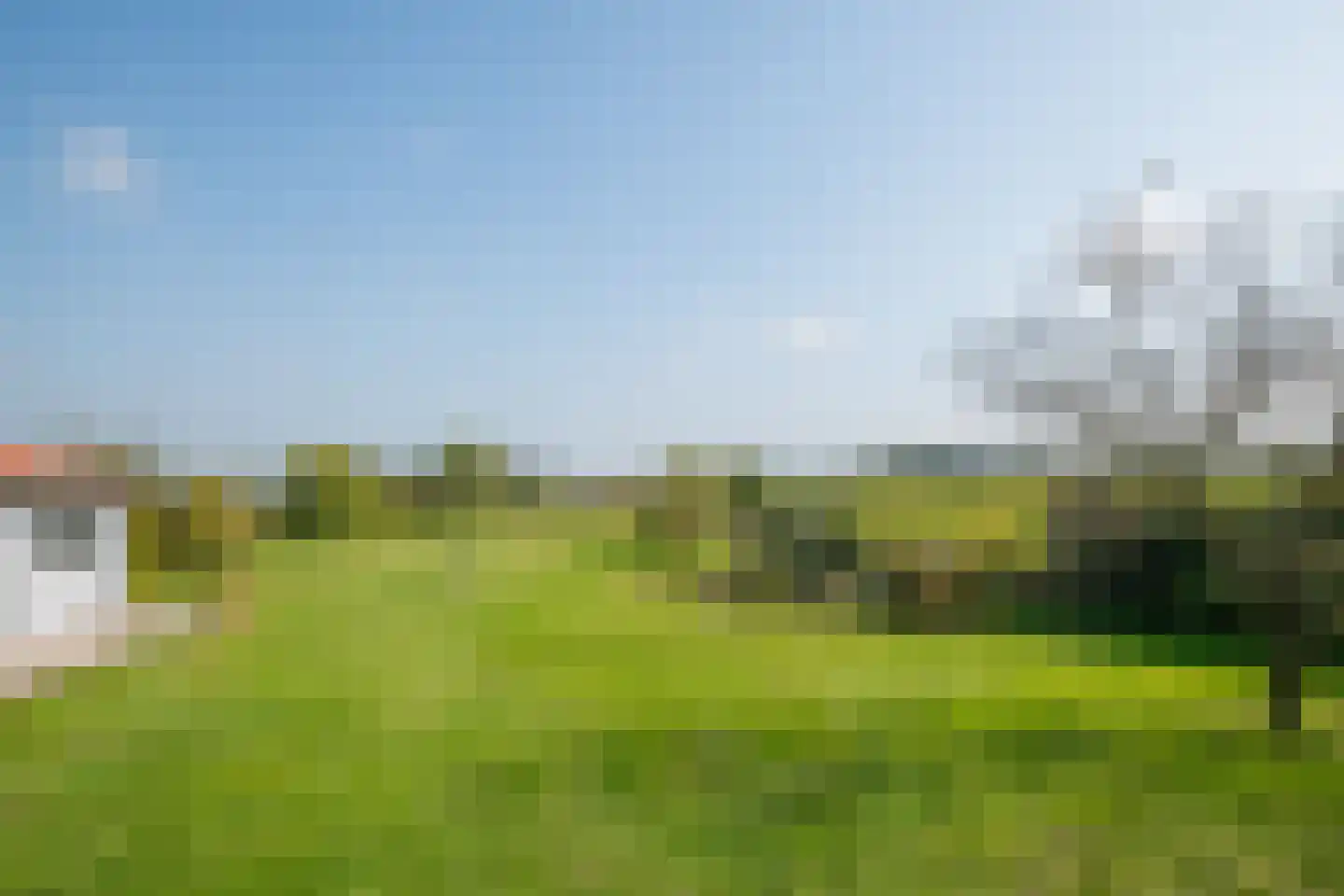 Halseweg 16 Westendorp thumbnail 49