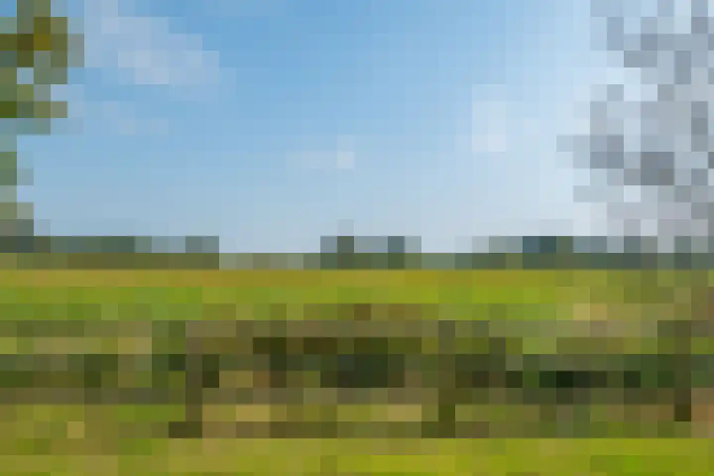 Halseweg 16 Westendorp thumbnail 51