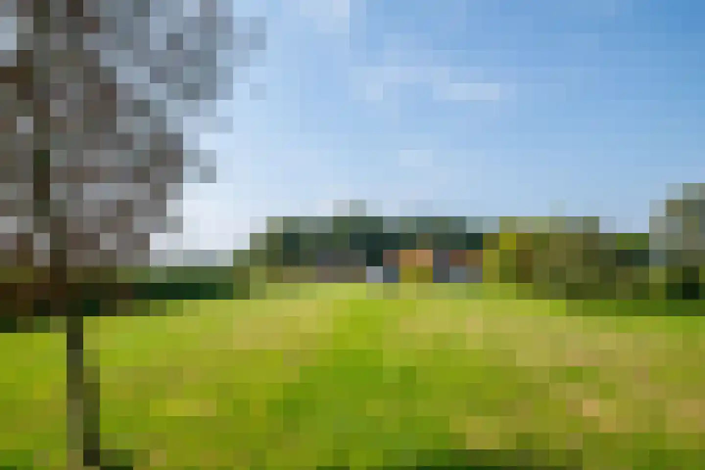 Halseweg 16 Westendorp thumbnail 52