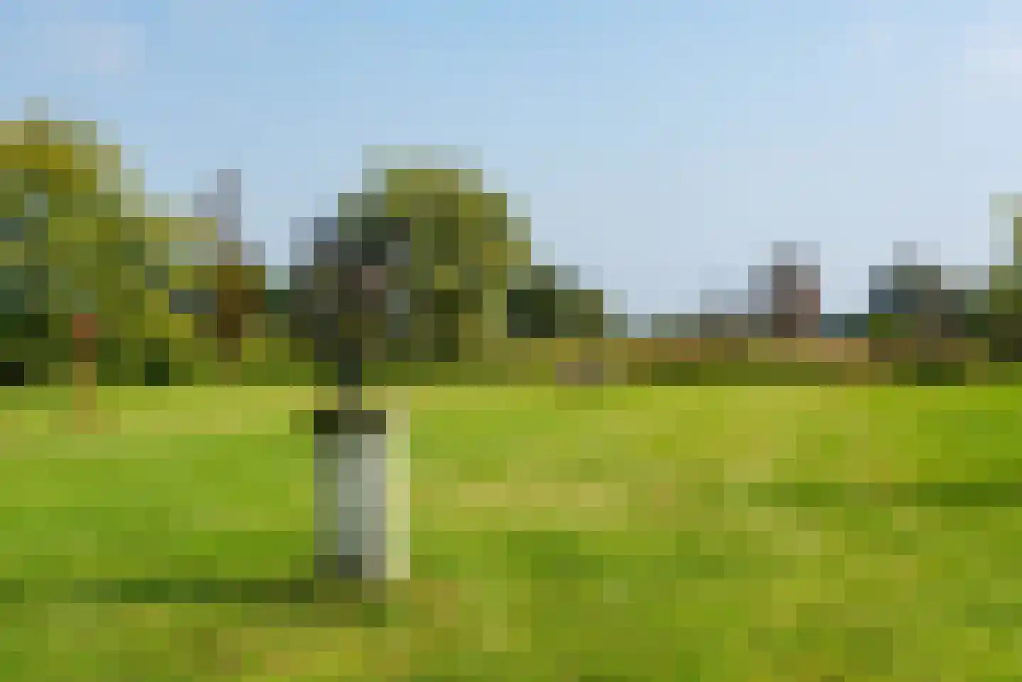 Halseweg 16 Westendorp thumbnail 53