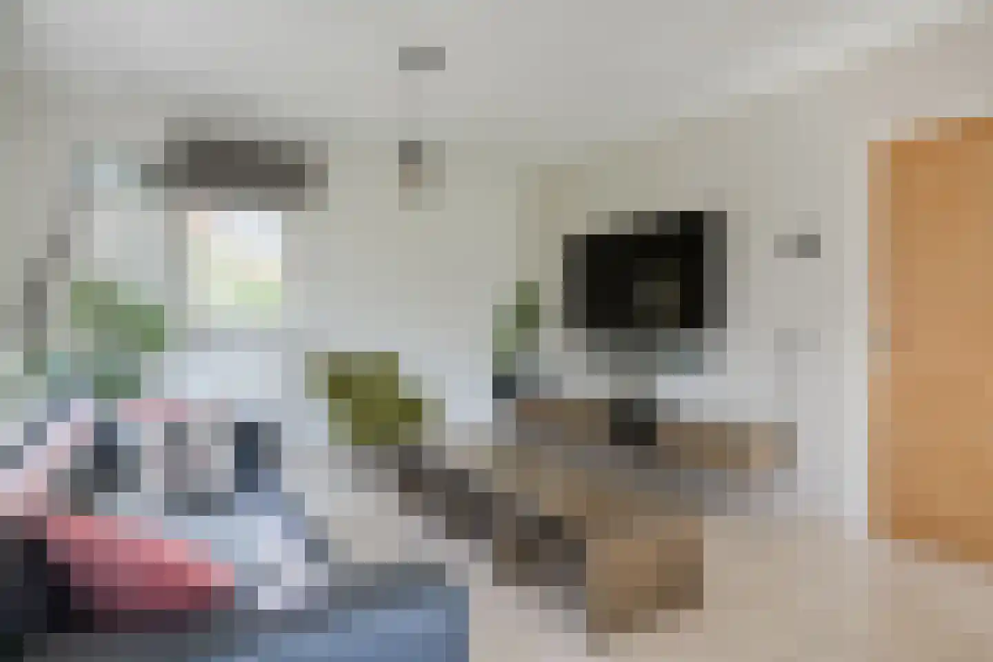 Halseweg 16 Westendorp thumbnail 8