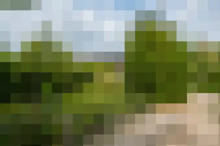 Halseweg 21 Doetinchem thumbnail 10