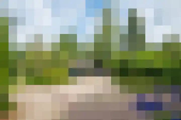 Halseweg 21 Doetinchem thumbnail 11