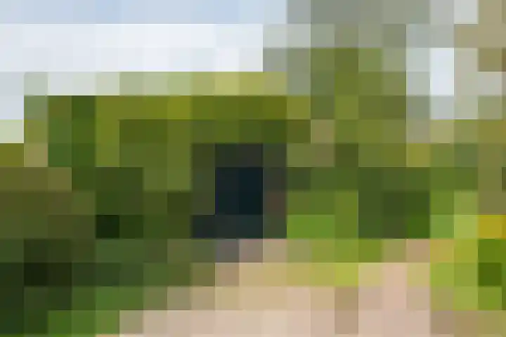 Halseweg 21 Doetinchem thumbnail 12
