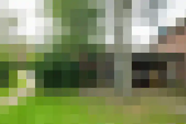 Halseweg 21 Doetinchem thumbnail 14