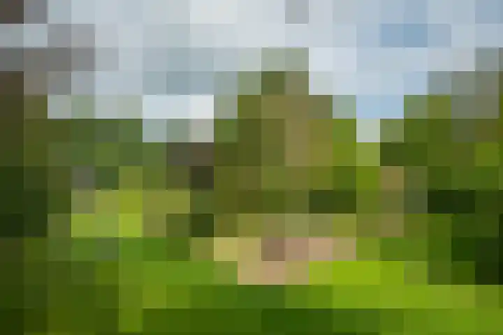Halseweg 21 Doetinchem thumbnail 15