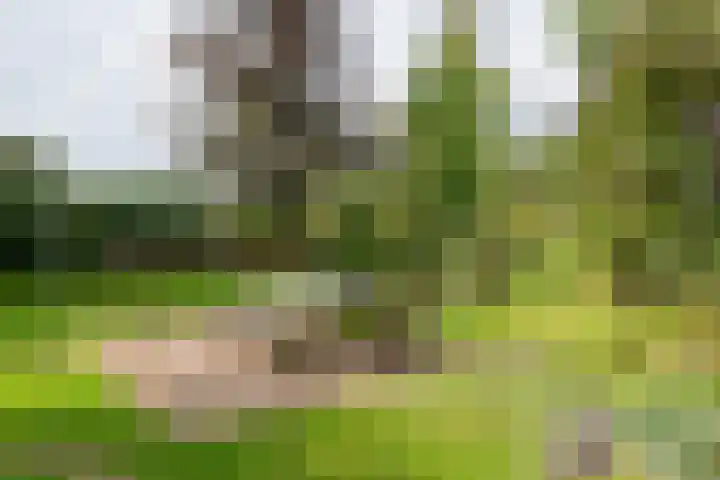Halseweg 21 Doetinchem thumbnail 17
