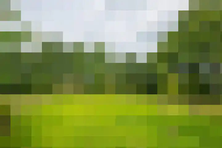 Halseweg 21 Doetinchem thumbnail 19