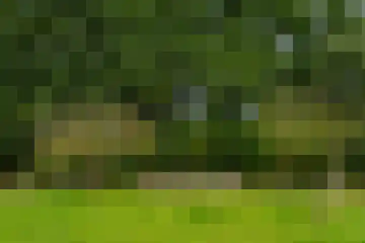 Halseweg 21 Doetinchem thumbnail 20