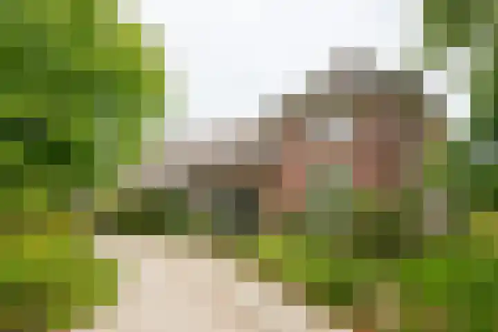 Halseweg 21 Doetinchem thumbnail 4