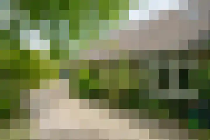 Halseweg 21 Doetinchem thumbnail 6