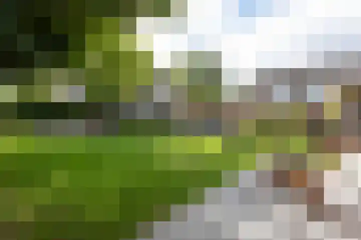 Halseweg 21 Zelhem thumbnail 29