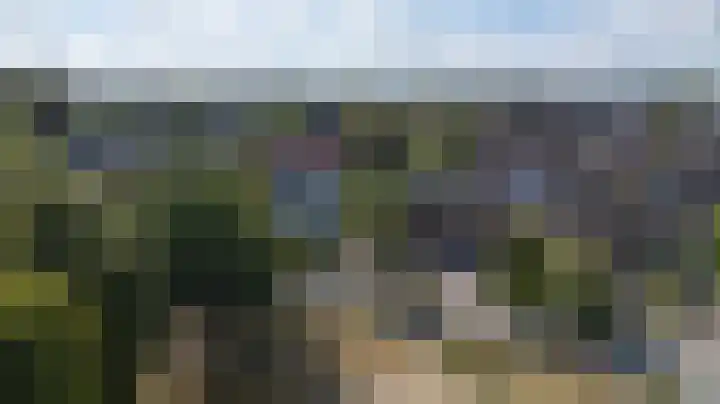 Halseweg 21 Zelhem thumbnail 4