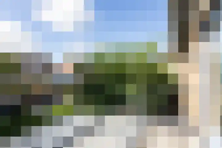 Halseweg 21 Zelhem thumbnail 50