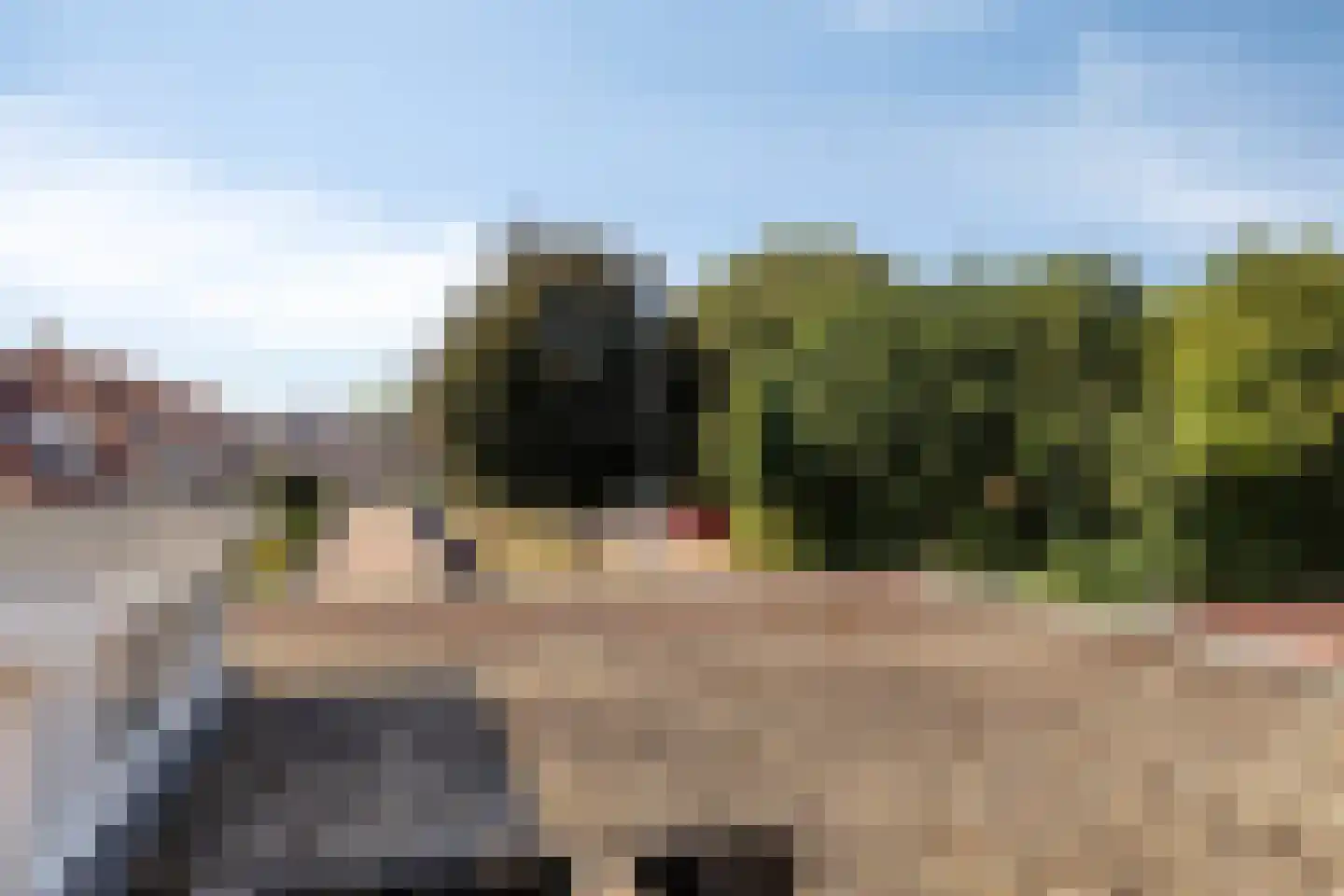 Halseweg 3 a Zelhem thumbnail 26