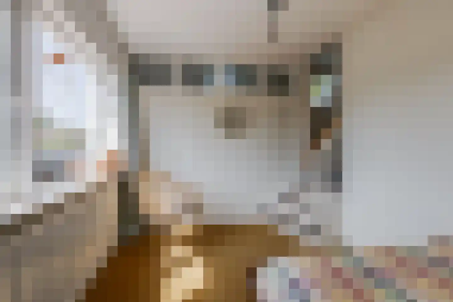 Halseweg 41 Halle thumbnail 23