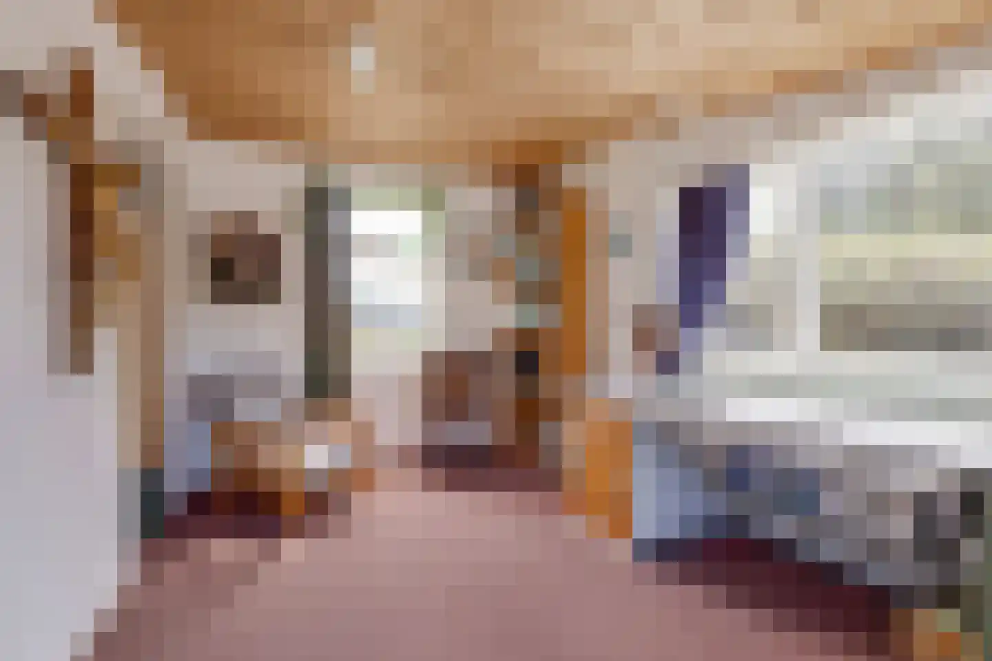 Halseweg 41 Halle thumbnail 27