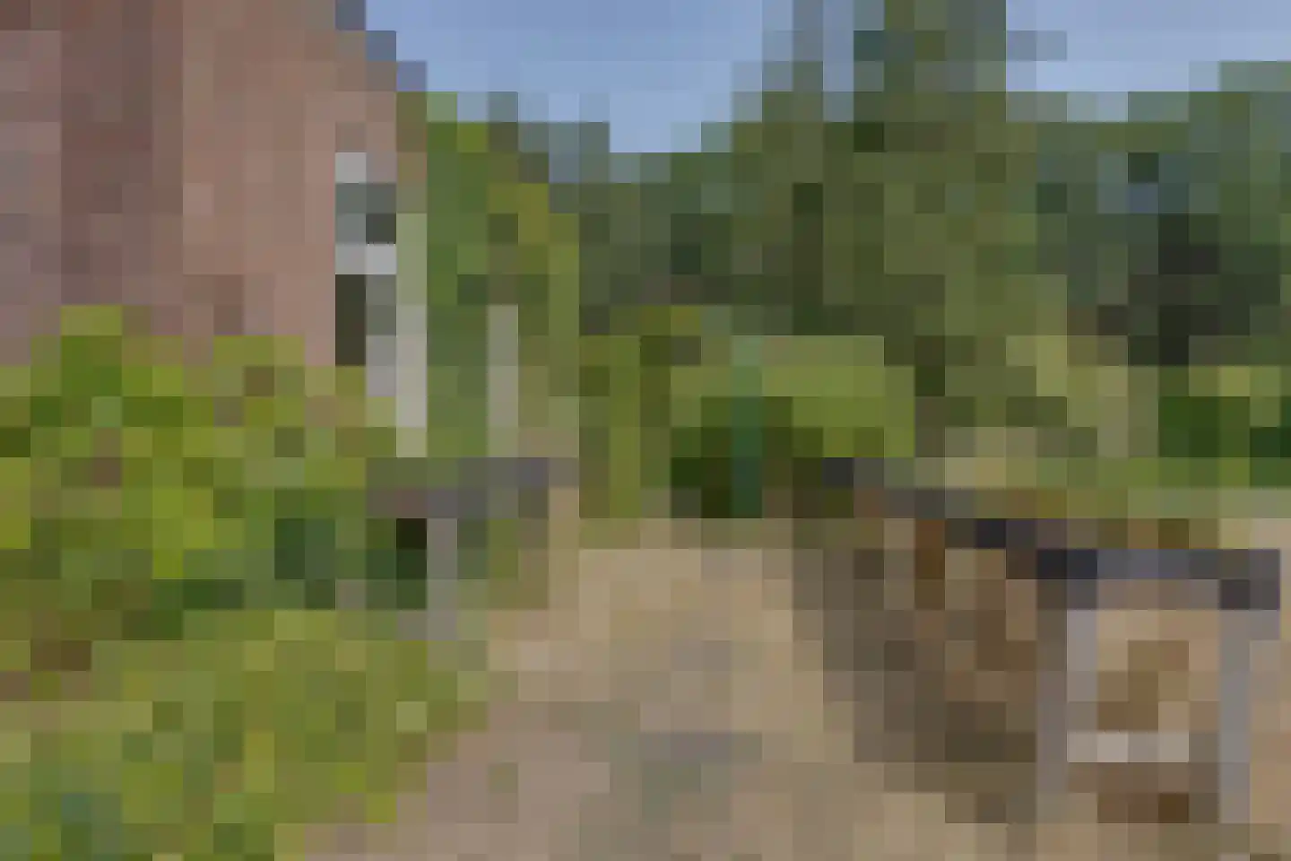 Halseweg 41 Halle thumbnail 38