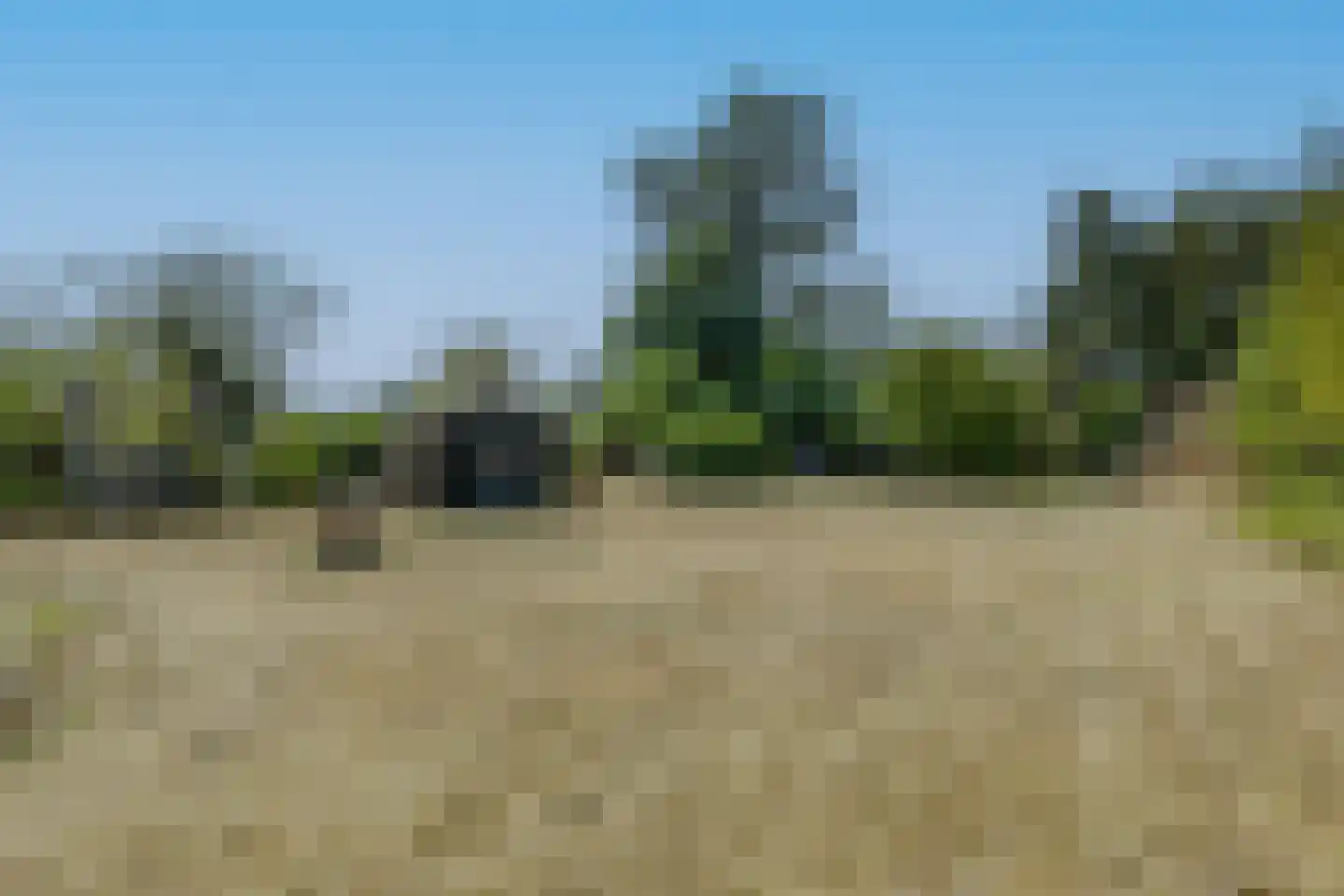 Halseweg 41 Halle thumbnail 4