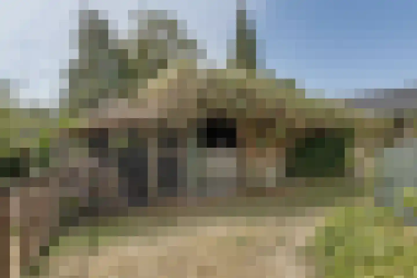 Halseweg 41 Halle thumbnail 43