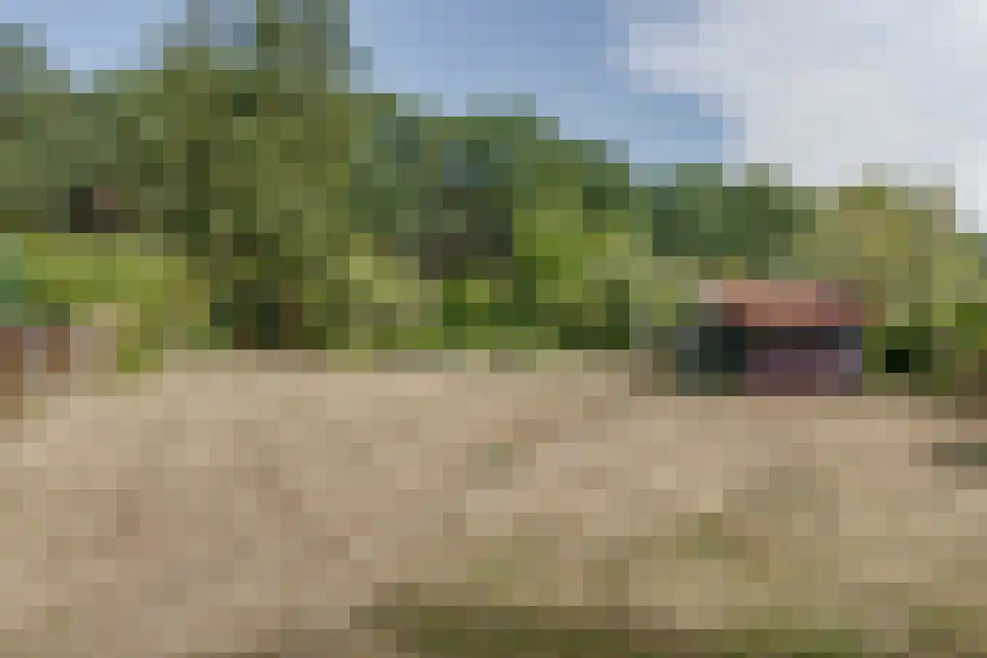 Halseweg 41 Halle thumbnail 51