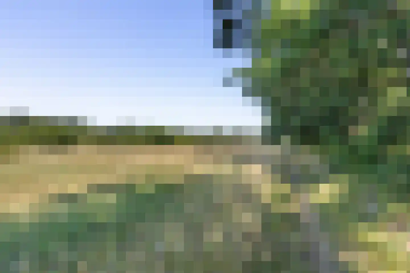 Halseweg 41 Halle thumbnail 52
