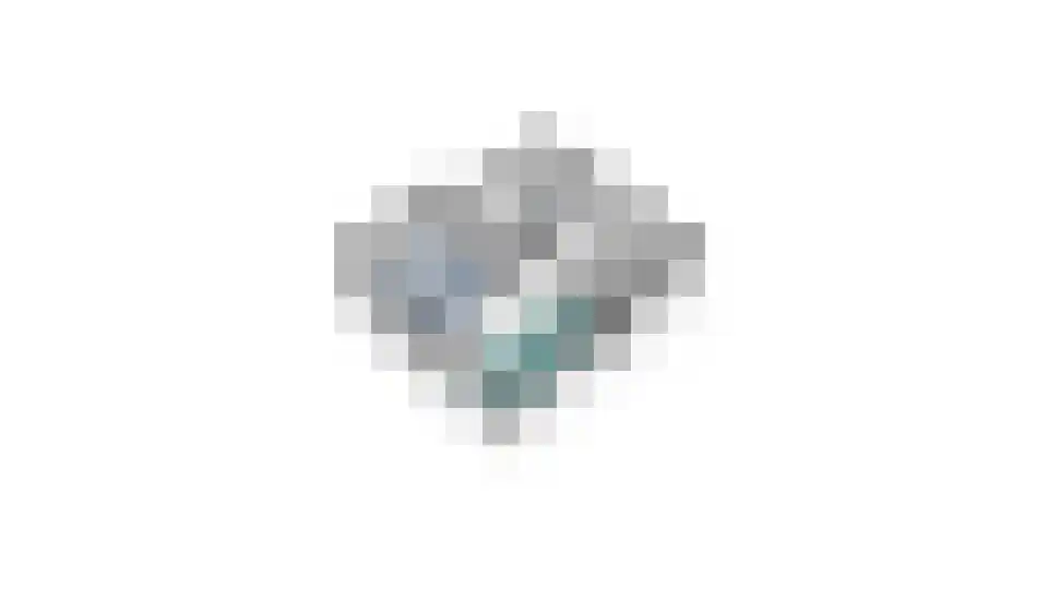 Halseweg 41 Halle thumbnail 63