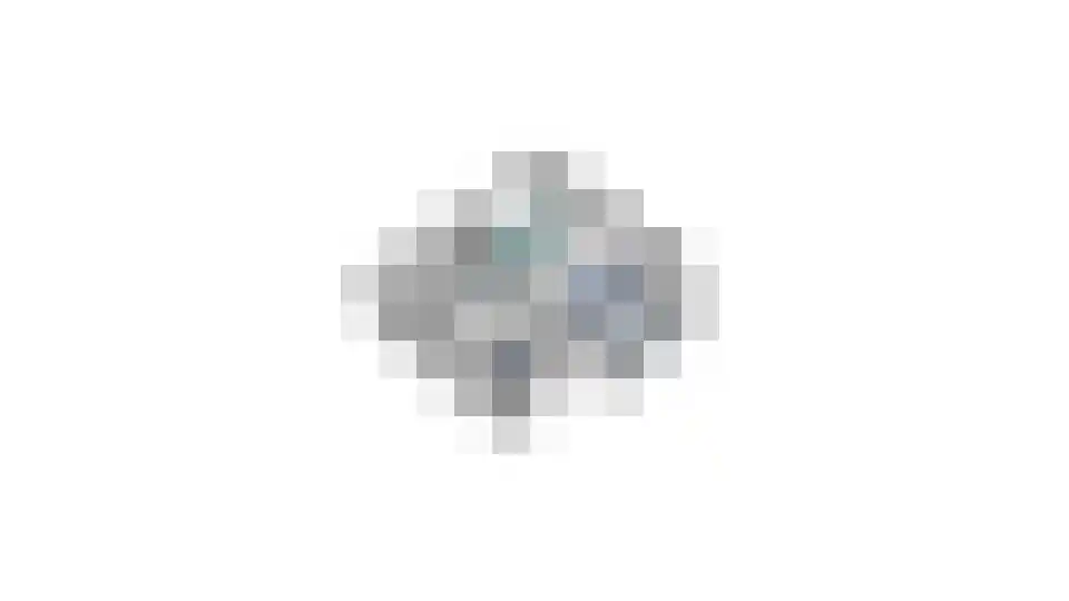 Halseweg 41 Halle thumbnail 64